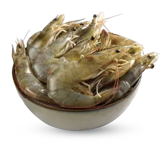 Prawns